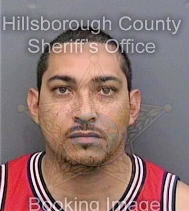 Ortiz Maykol - Hillsborough County, FL 