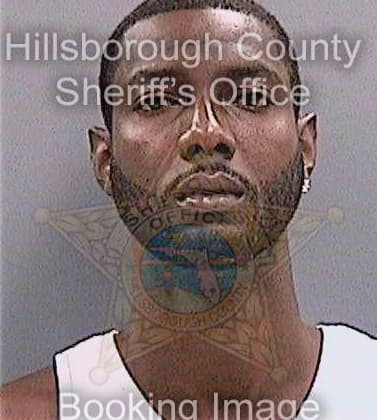 Shepard Tony - Hillsborough County, FL 