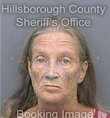 Blizzard Kathy - Hillsborough County, FL 