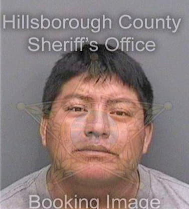 Gomez Anselmo - Hillsborough County, FL 