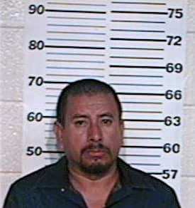 Gonzalez Armando - Hidalgo County, TX 