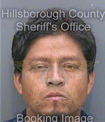 Flores Marco - Hillsborough County, FL 