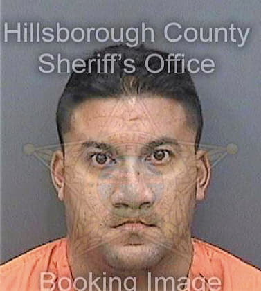 Figueroagonzalez Alex - Hillsborough County, FL 