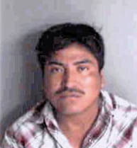 Tomasreynoso Humberto - Sarasota County, FL 