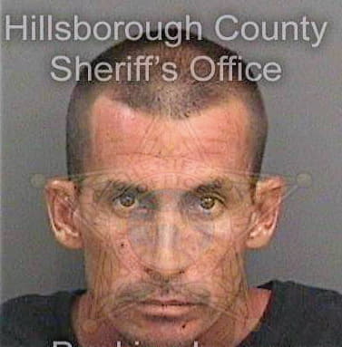 Mcnew Bryan - Hillsborough County, FL 