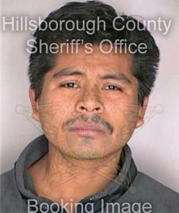 Rodriguez Alberto - Hillsborough County, FL 