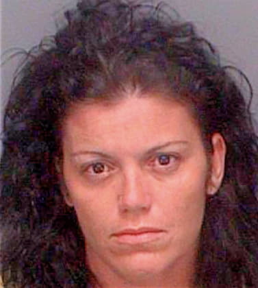 Alves Michelle - Pinellas County, FL 