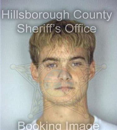 Lewis Andrew - Hillsborough County, FL 