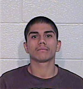 Avalos Damian - Hidalgo County, TX 