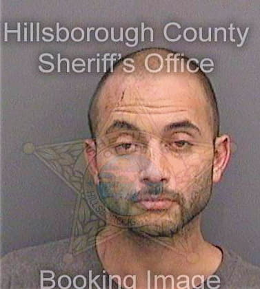 Ferreira James - Hillsborough County, FL 