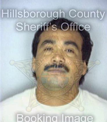 Mejia Luis - Hillsborough County, FL 