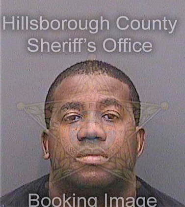 Olafemi Ajigunwa - Hillsborough County, FL 