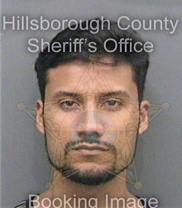 Castanon Erik - Hillsborough County, FL 