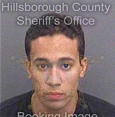 Serrano Elvin - Hillsborough County, FL 