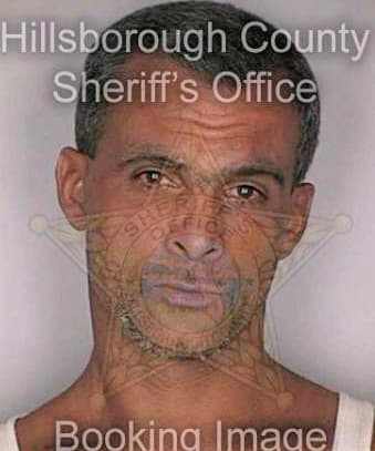 Millan Sigredo - Hillsborough County, FL 