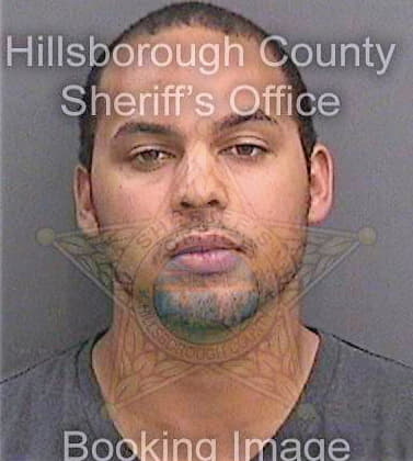 Barnett Dennis - Hillsborough County, FL 