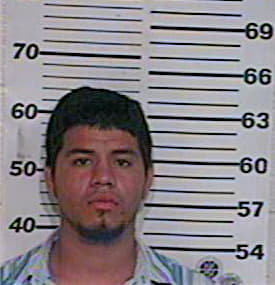 Hernandez Juan - Hidalgo County, TX 