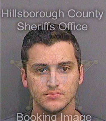 Chambers Christopher - Hillsborough County, FL 