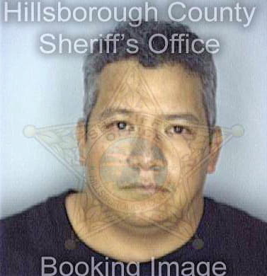 Martinez Alonzo - Hillsborough County, FL 