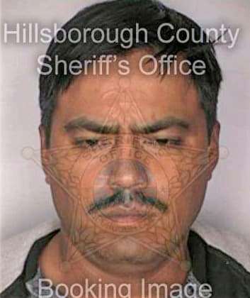 Diazmartinez Juan - Hillsborough County, FL 