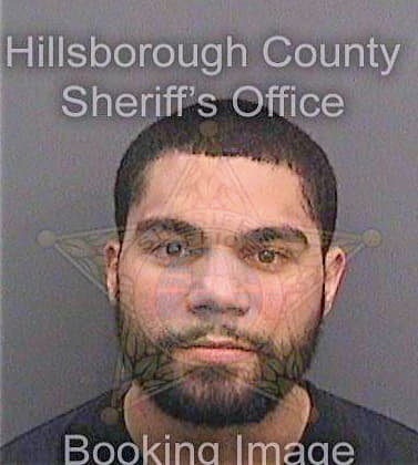 Delacruz Zael - Hillsborough County, FL 