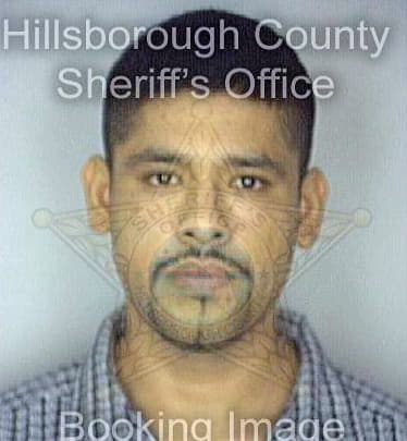 Sotelo Roberto - Hillsborough County, FL 