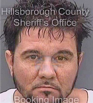 Stearns Michael - Hillsborough County, FL 