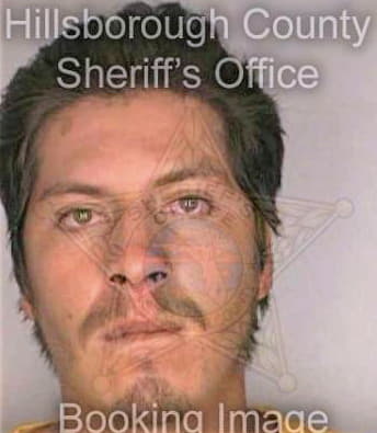 Medina Armando - Hillsborough County, FL 