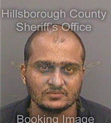 Patel Ashish - Hillsborough County, FL 