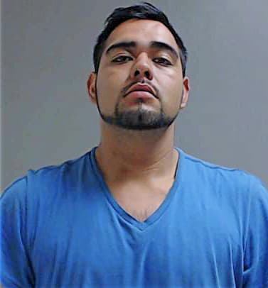 Hernandez Alfredo - Hidalgo County, TX 