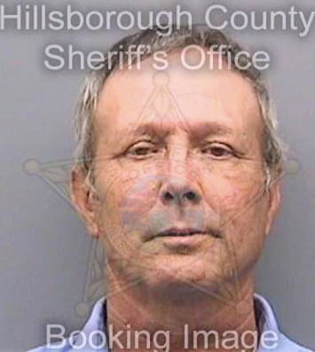 Mclendon Dewayne - Hillsborough County, FL 