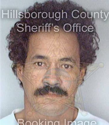 Maldonado Roberto - Hillsborough County, FL 