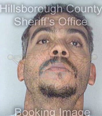 Ortiz Jose - Hillsborough County, FL 