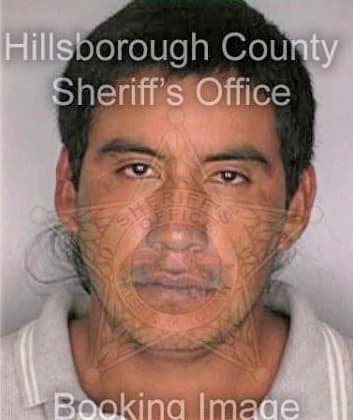 Garcia Marcelo - Hillsborough County, FL 