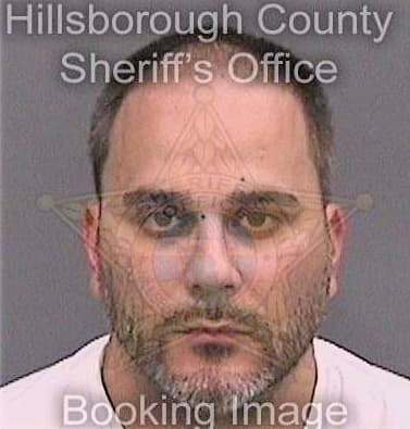 Ferrandiz Alejandro - Hillsborough County, FL 