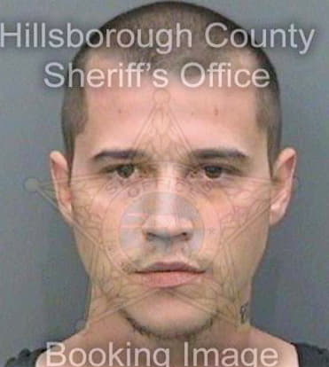 Gregory Thomas - Hillsborough County, FL 