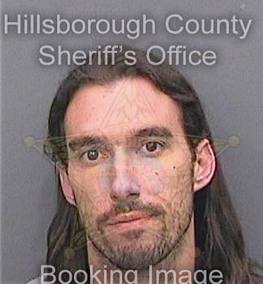 Lewis Christopher - Hillsborough County, FL 