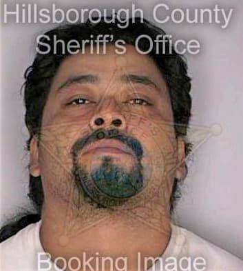 Mejia Sergio - Hillsborough County, FL 