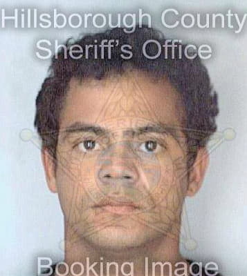 Gonzalez Jose - Hillsborough County, FL 