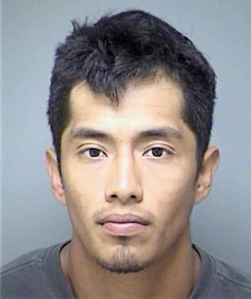 Hernandez Francisco - Denton County, TX 