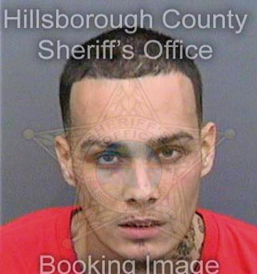 Ortiz Jose - Hillsborough County, FL 