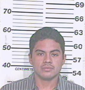 Gutierrez Luis - Hidalgo County, TX 