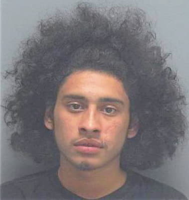Sotelo Jesus - Lee County, FL 