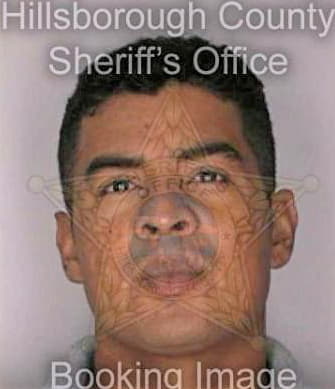 Chrinos Jaime - Hillsborough County, FL 