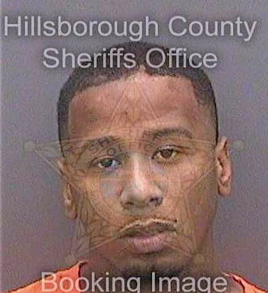 Mccoy Hampton - Hillsborough County, FL 