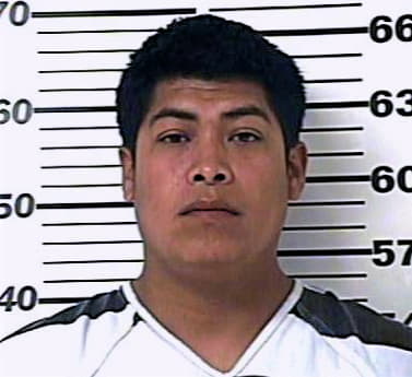 Hernandez Juan - Henderson County, TX 