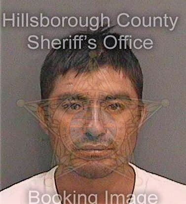 Sanchezhernandez Eustorgio - Hillsborough County, FL 