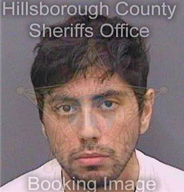 Torres Andres - Hillsborough County, FL 