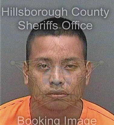 Salasperez Ervin - Hillsborough County, FL 