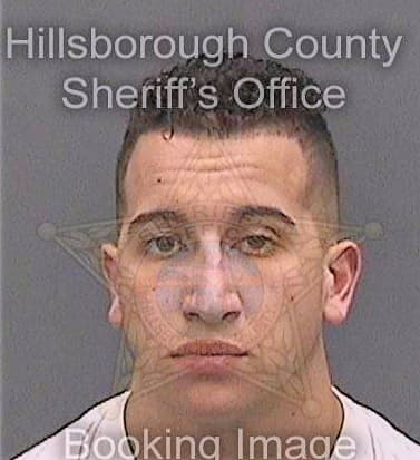 Durante Santino - Hillsborough County, FL 